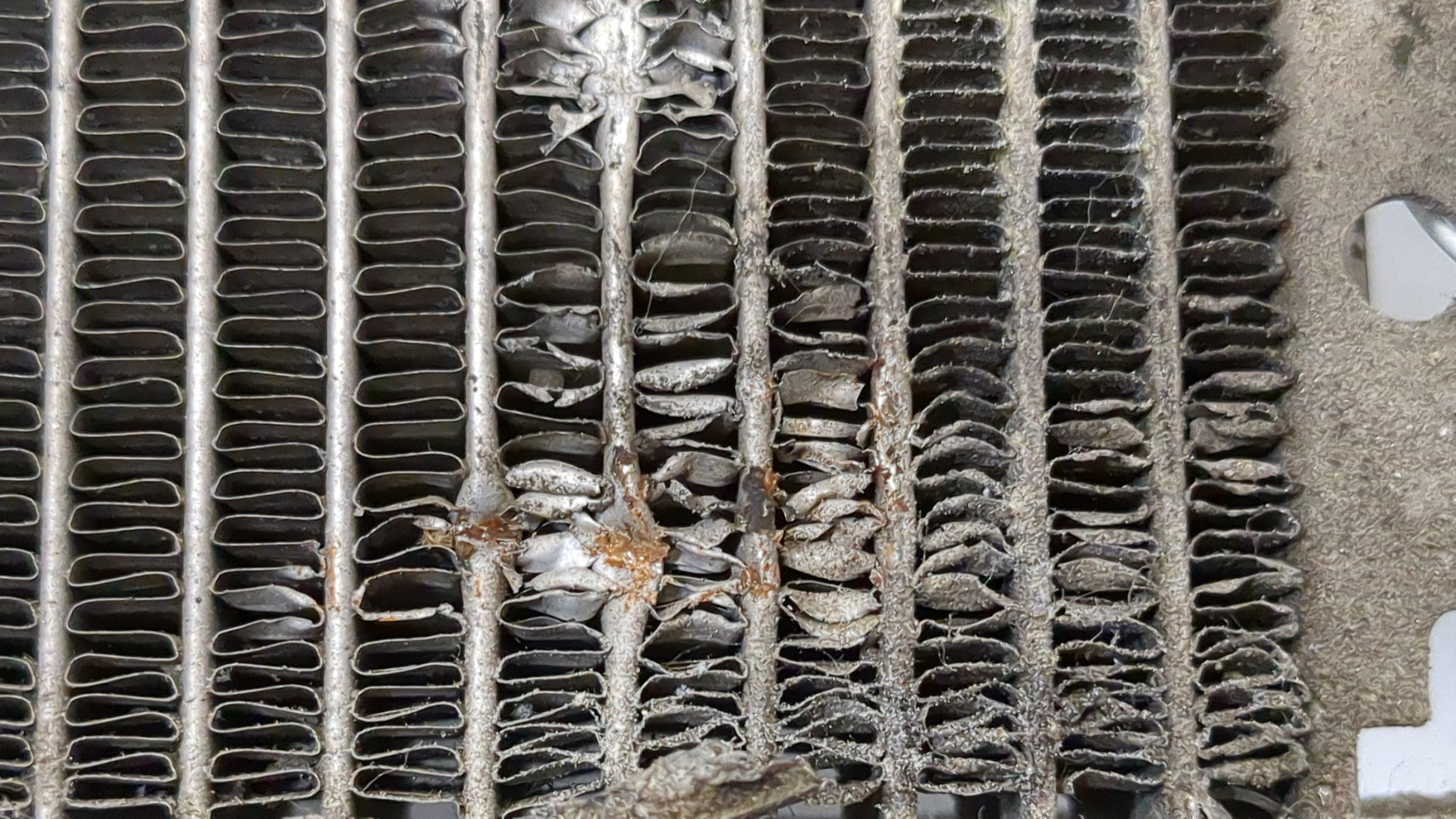 Радиатор охлаждения двигателя основной