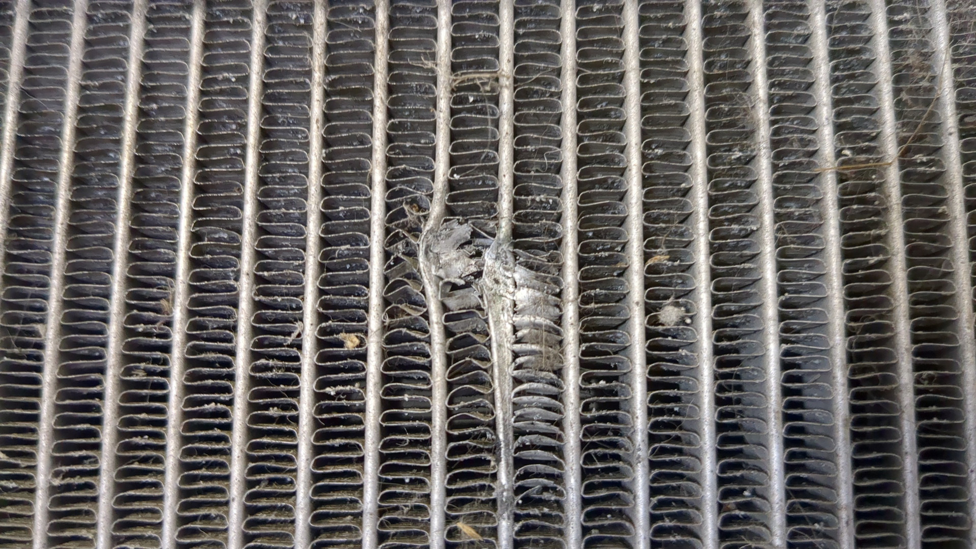 Радиатор охлаждения двигателя основной