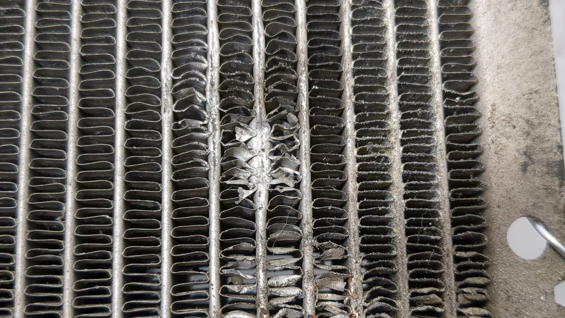 Радиатор охлаждения двигателя основной