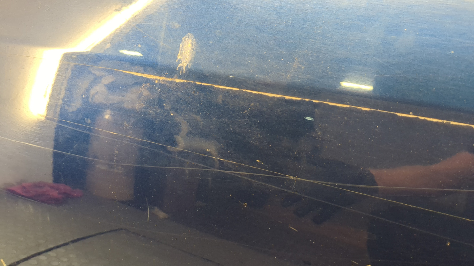 Дверь передняя левая