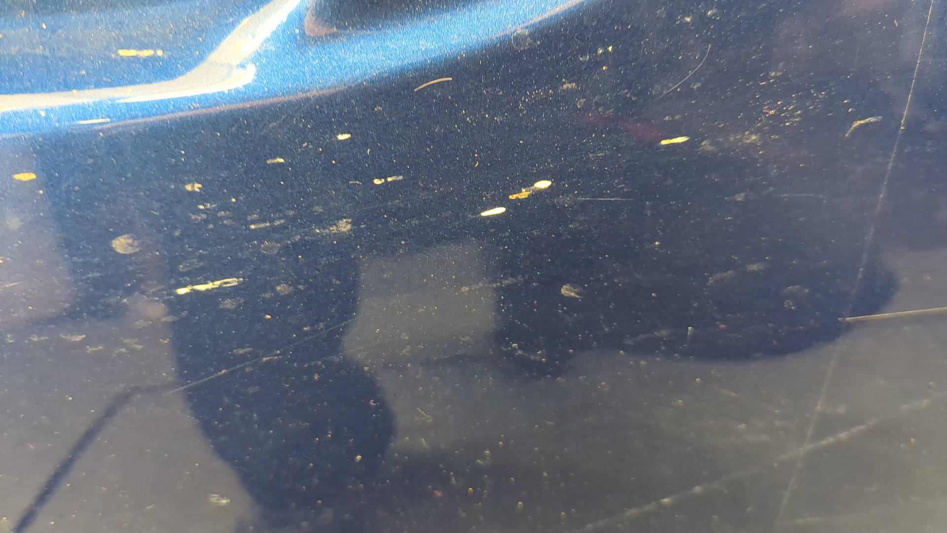 Дверь передняя правая