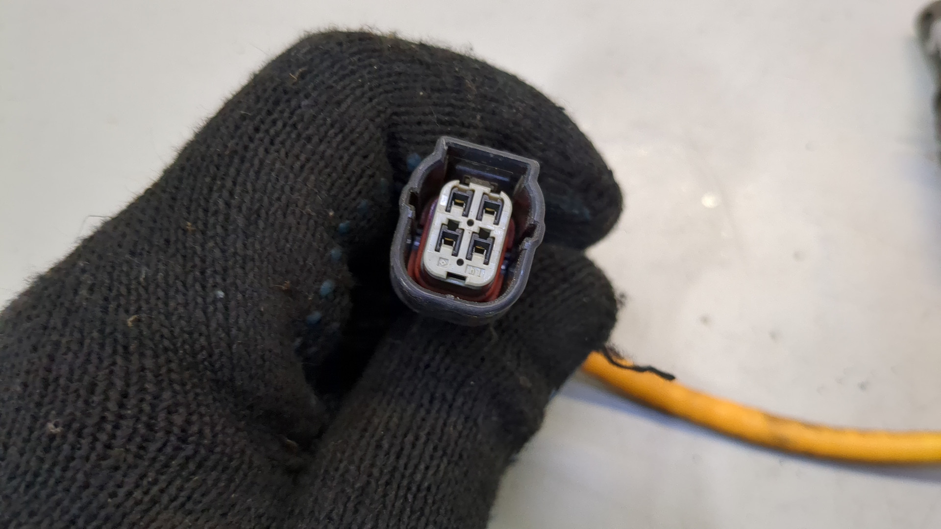 AP-0016676788 AP-0016676788