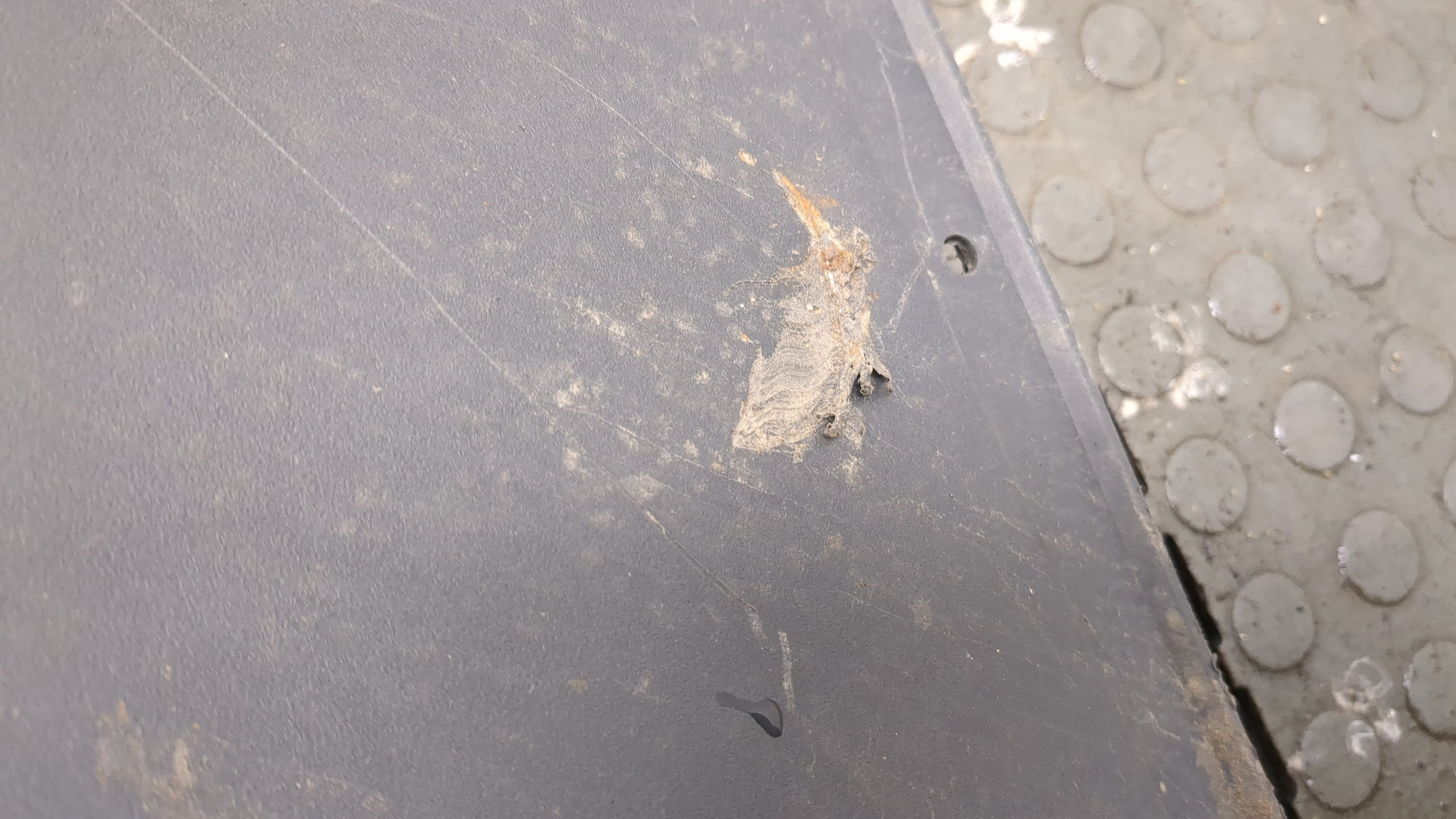 Крыло заднее левое