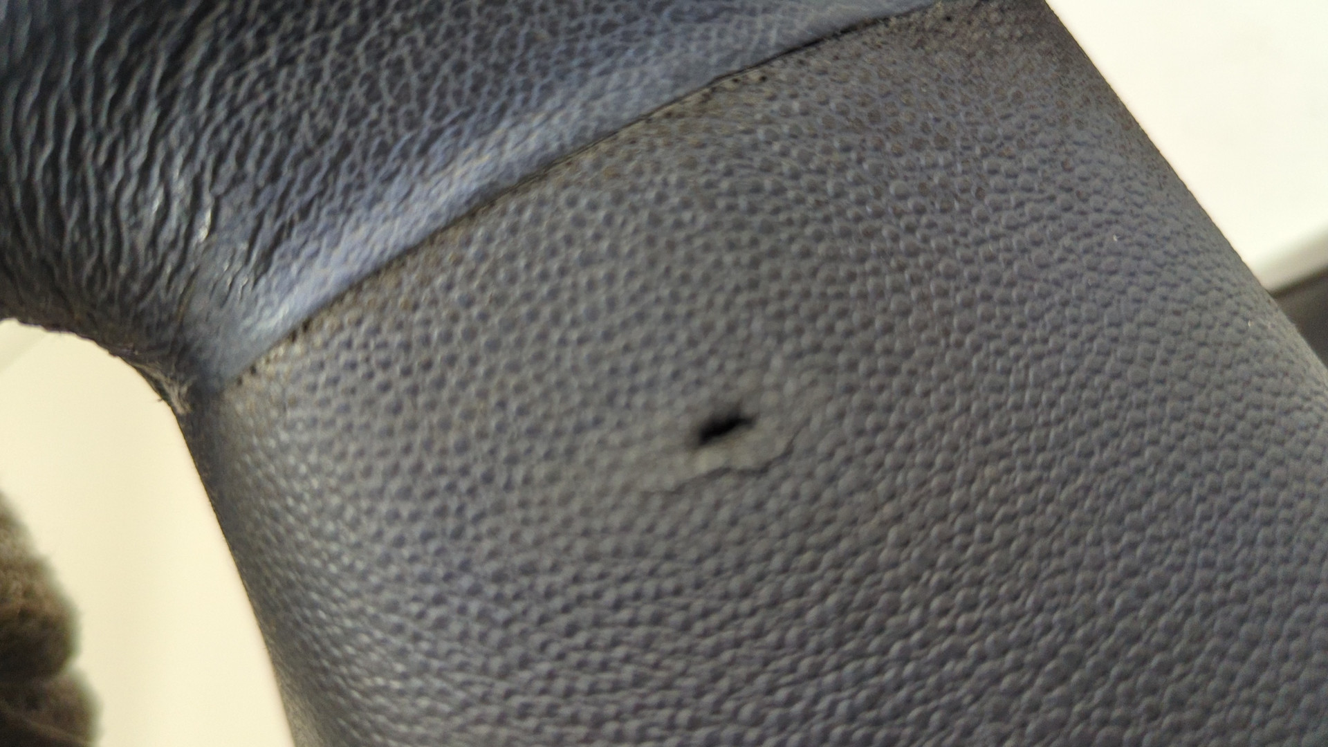 Рулевое колесо (руль)