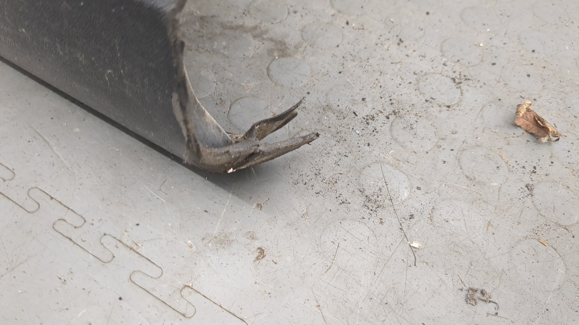 Дверь передняя левая