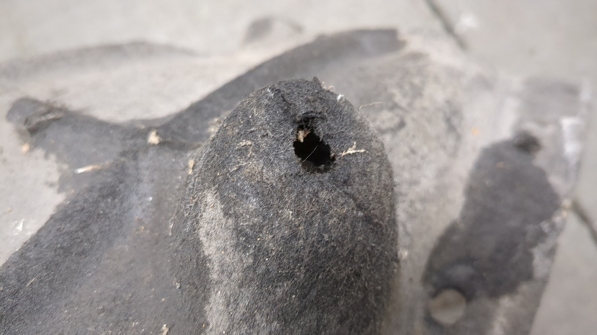 AP-0016701477 AP-0016701477