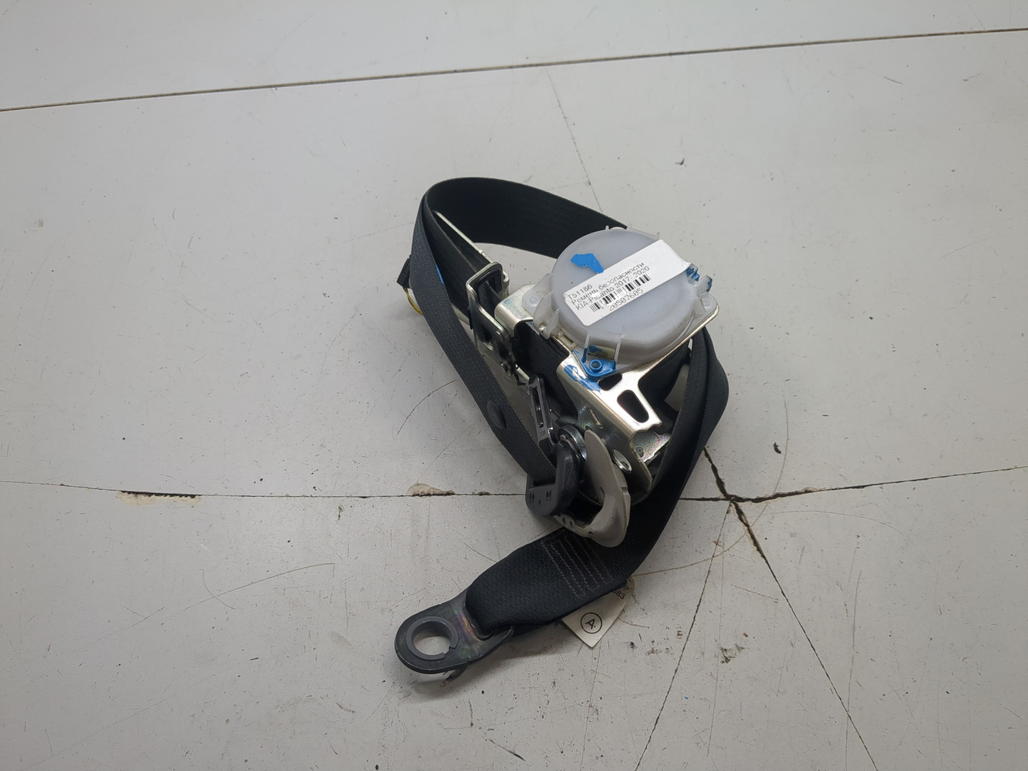 Ремень безопасности