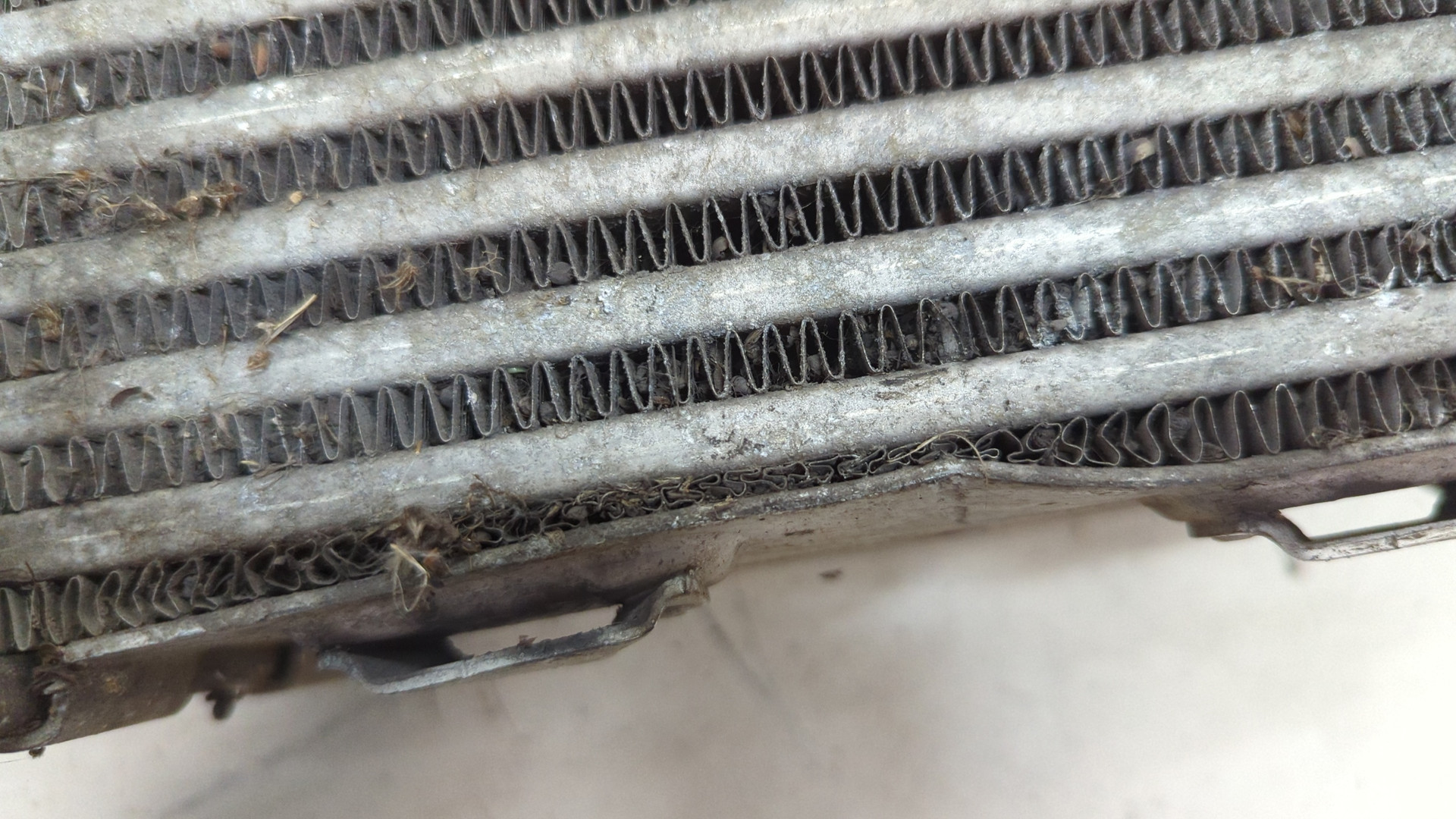 Интеркулер