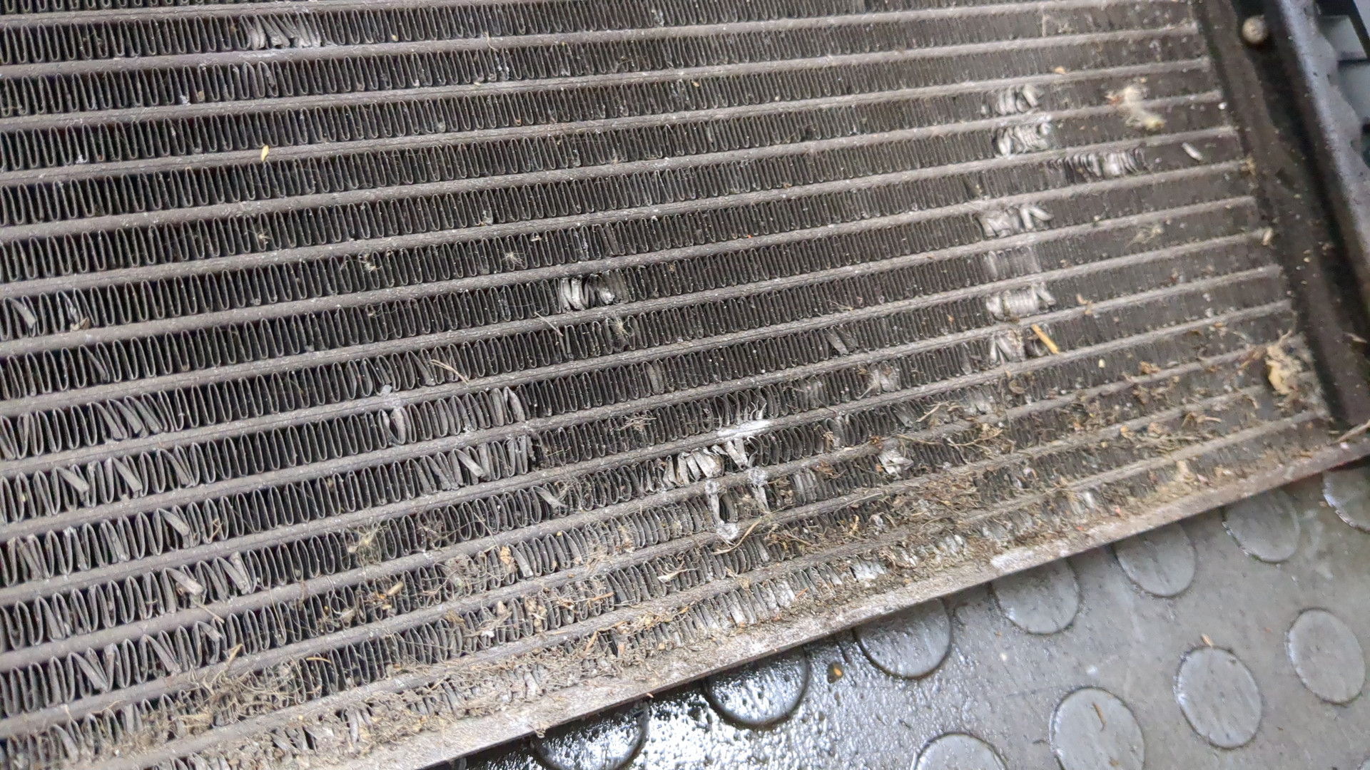 Радиатор охлаждения двигателя основной