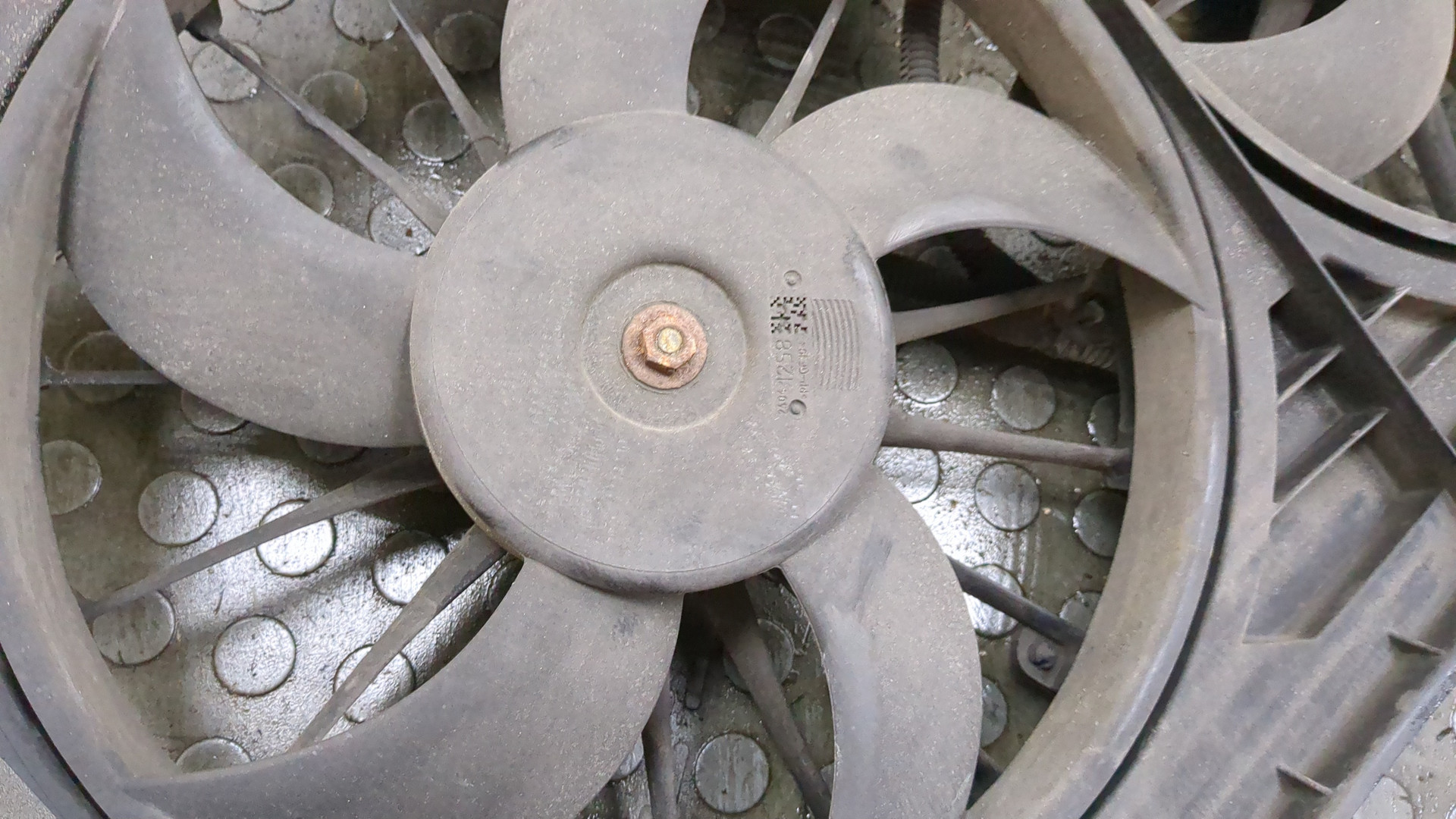 Вентилятор радиатора