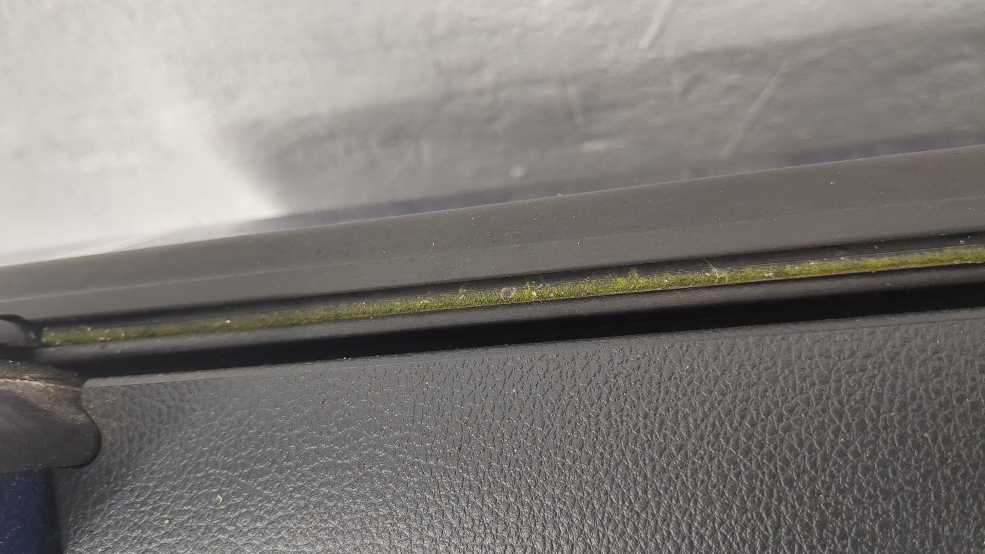 Дверь задняя правая