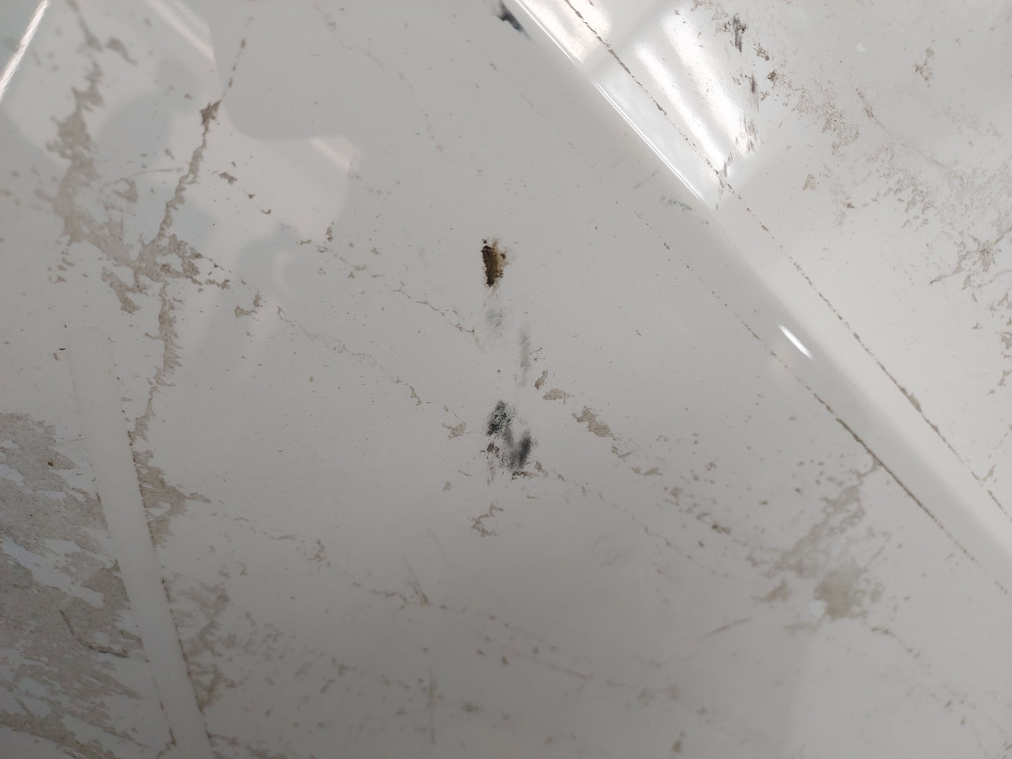 Крыло заднее левое