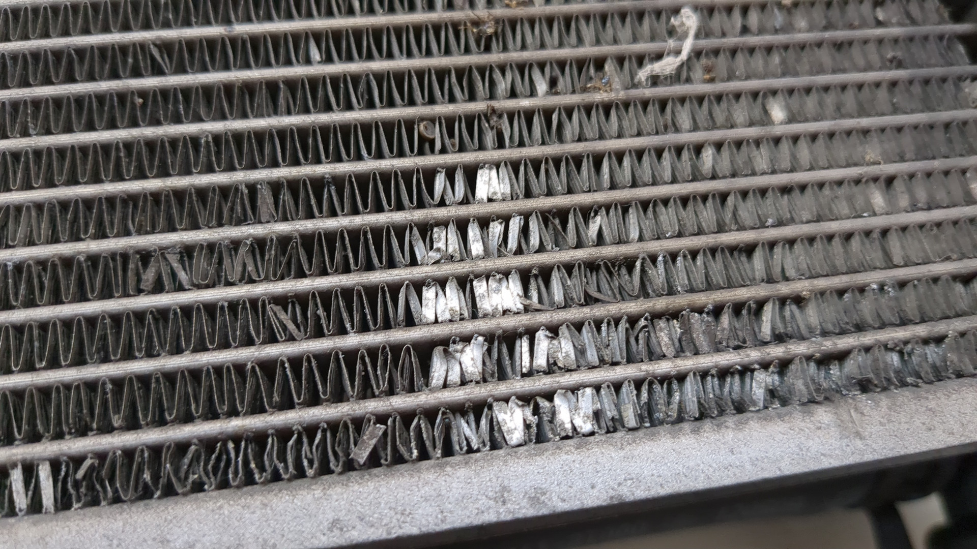 Радиатор охлаждения двигателя основной