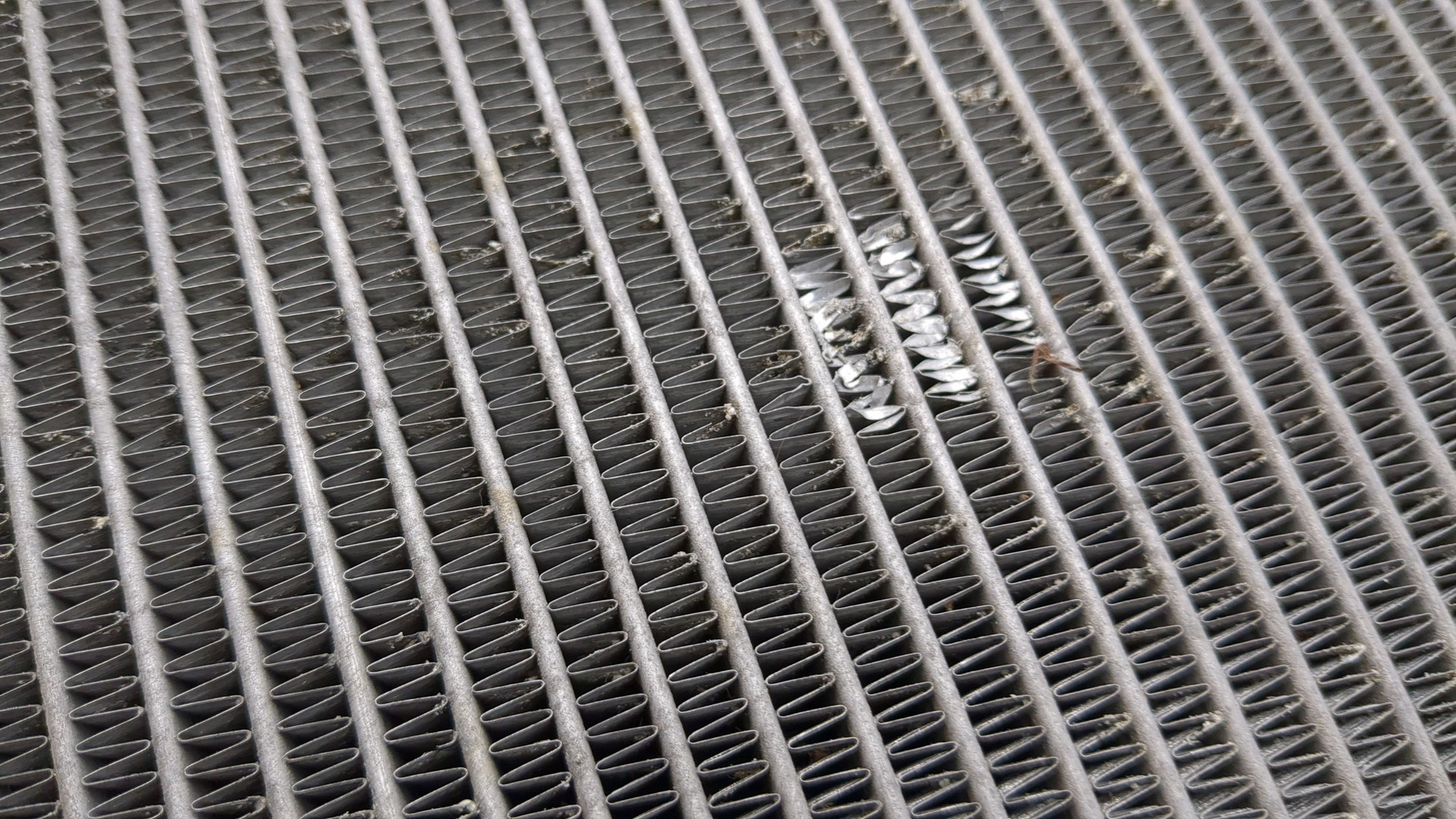 Радиатор охлаждения двигателя основной