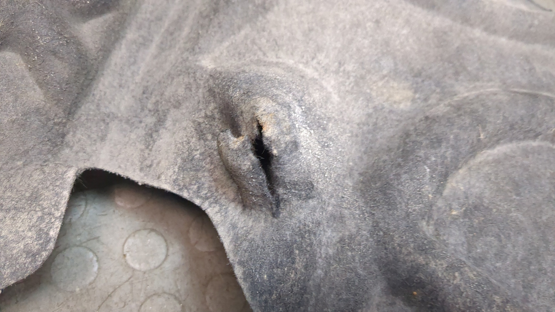 Локер передний левый