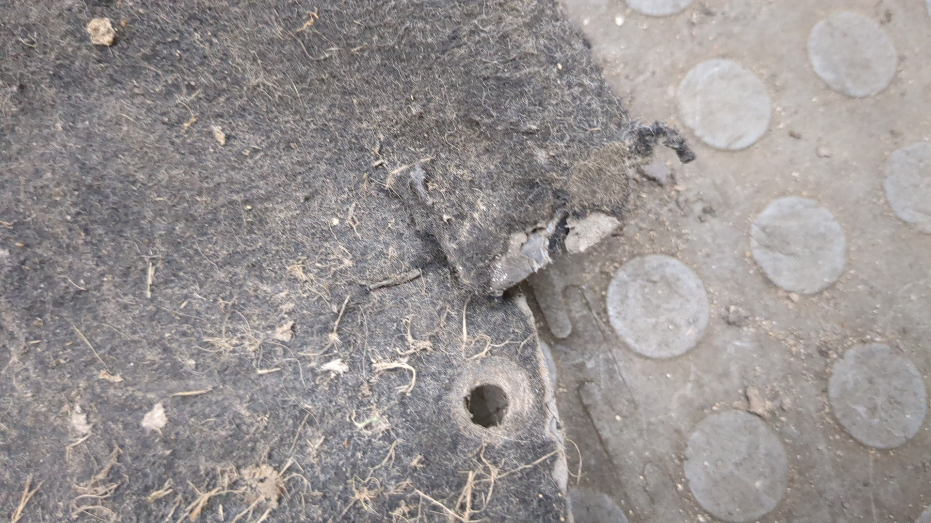 AP-0016741184 AP-0016741184