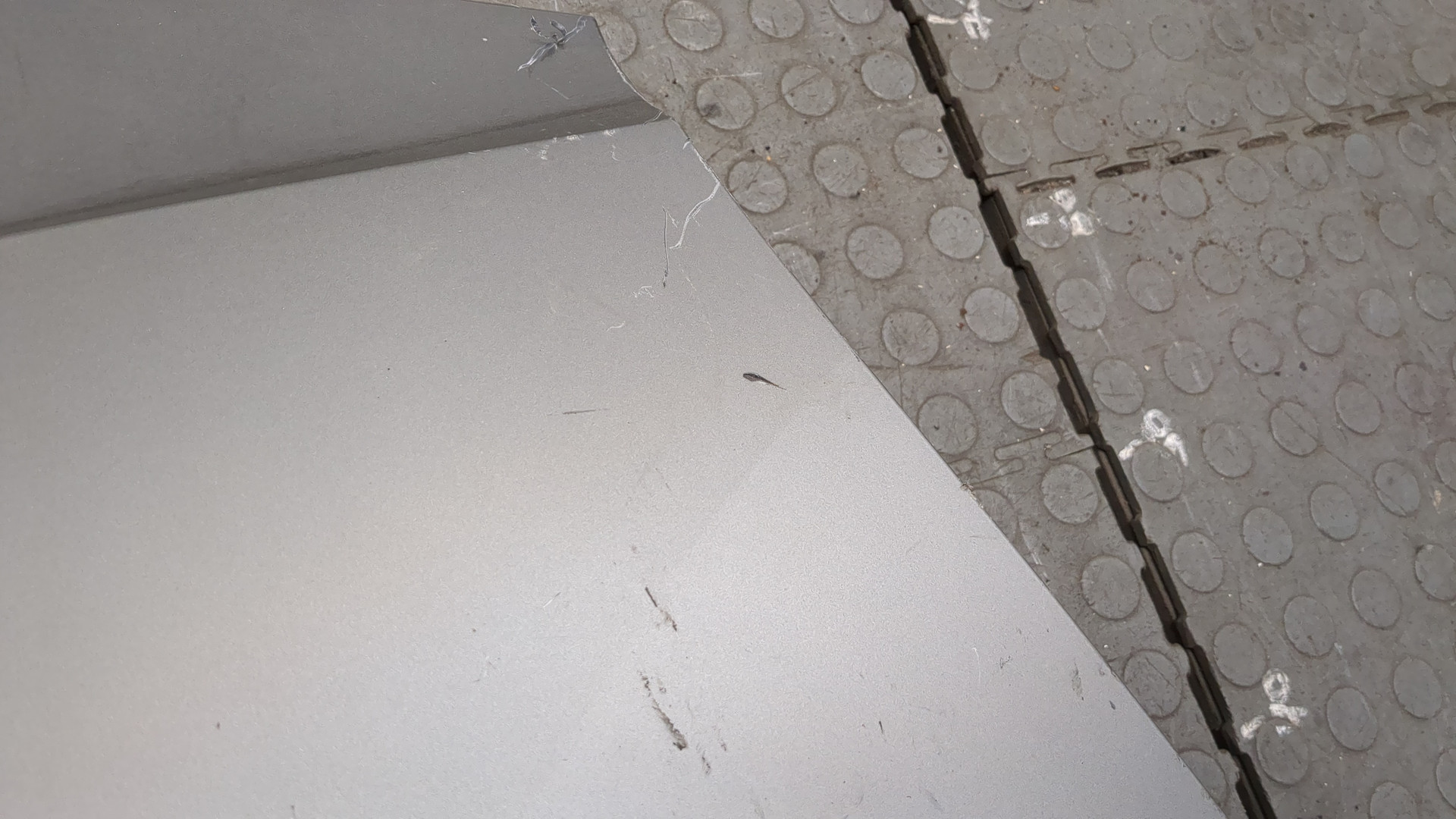 Крыло заднее правое