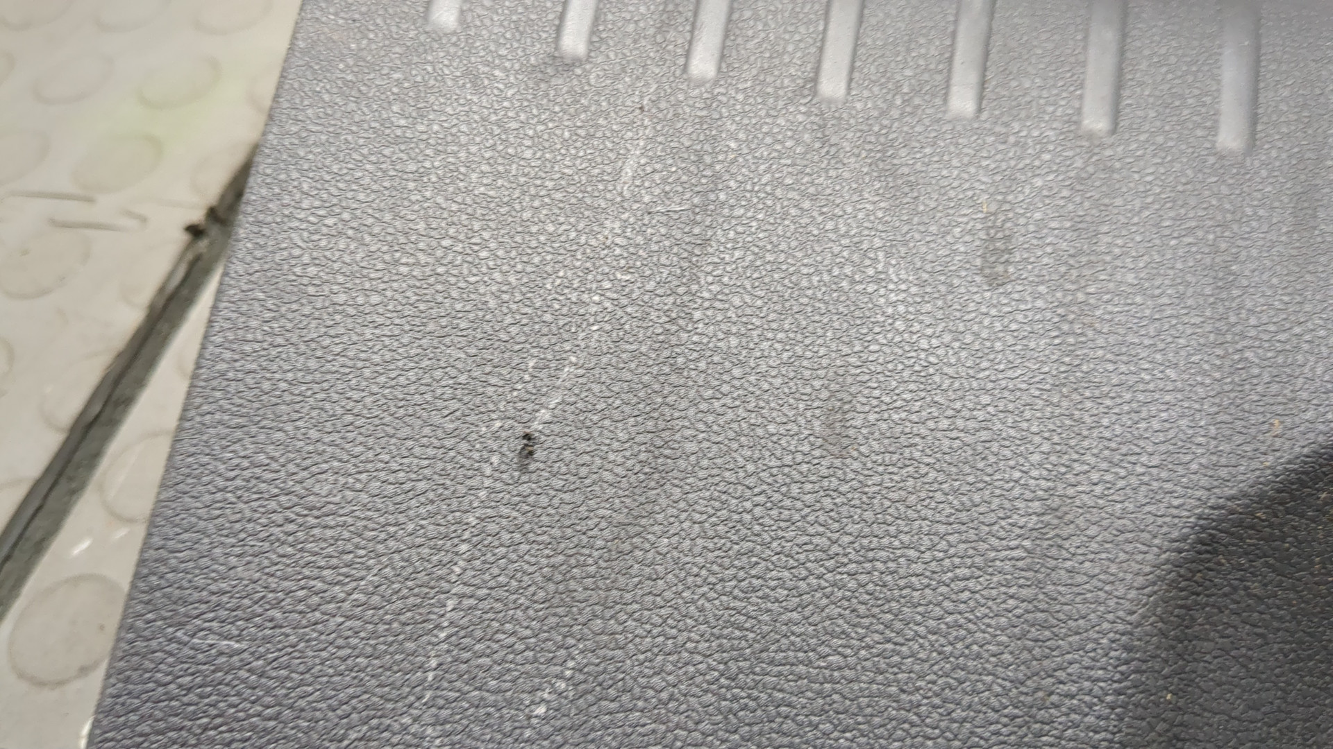 Обшивка багажника для Jetta (A7) 2018>