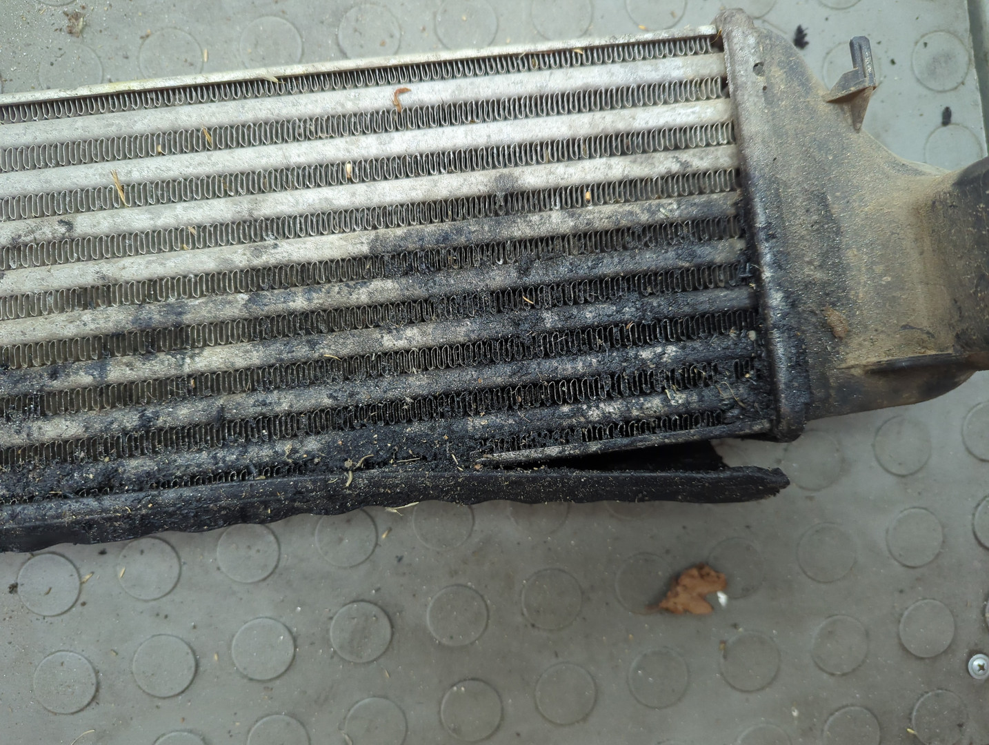 Интеркулер