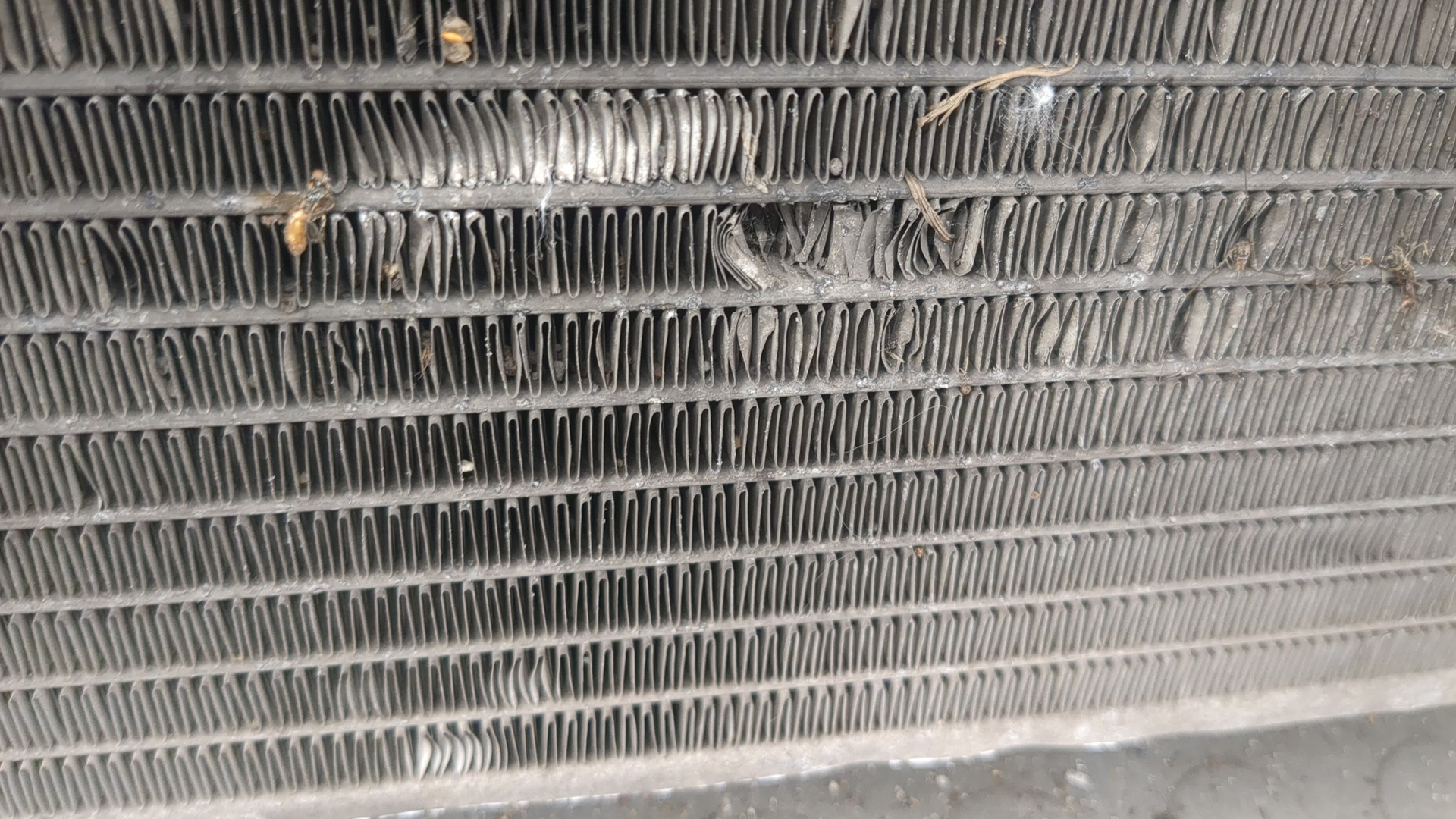 Радиатор охлаждения двигателя основной