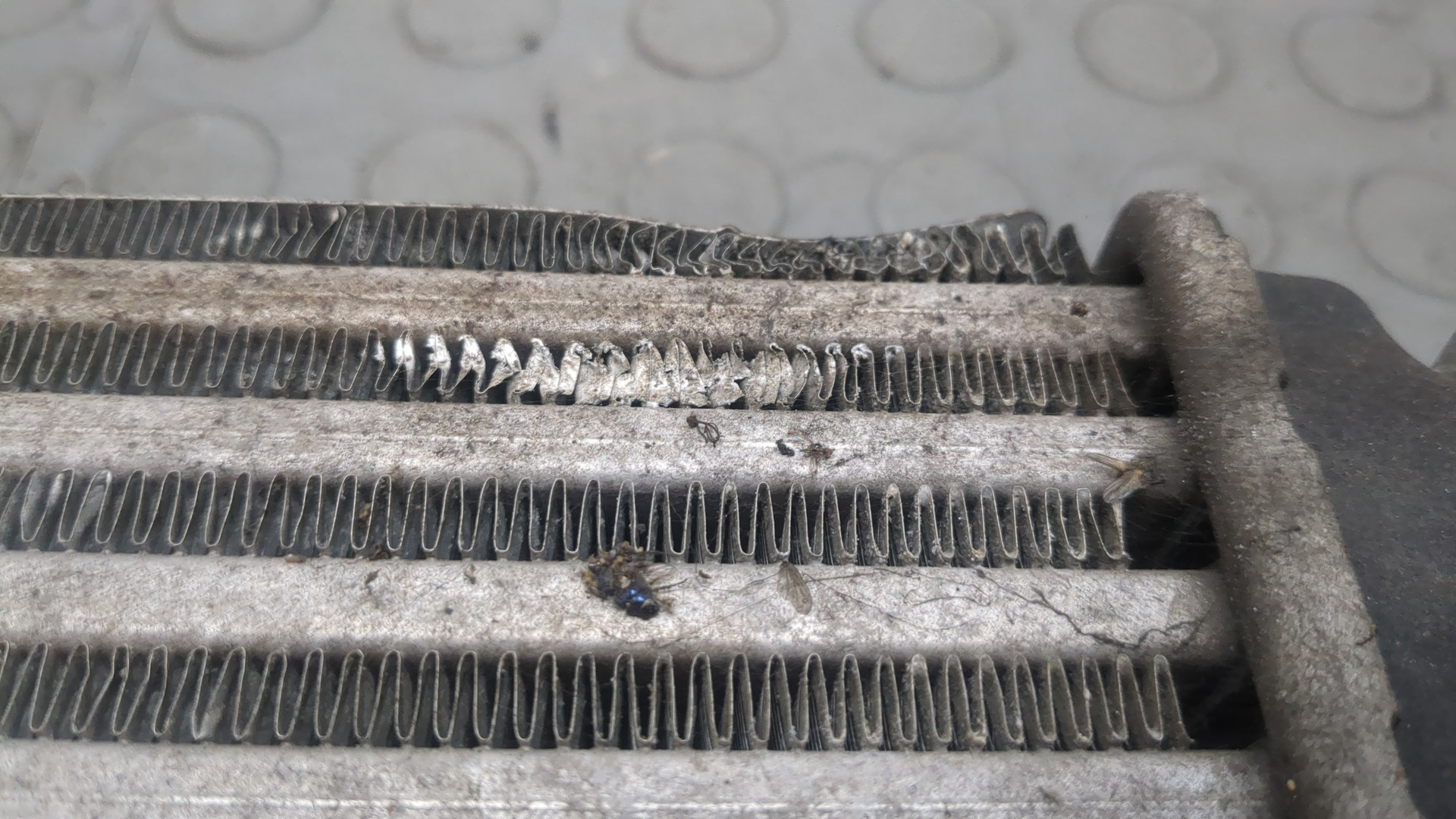 Интеркулер