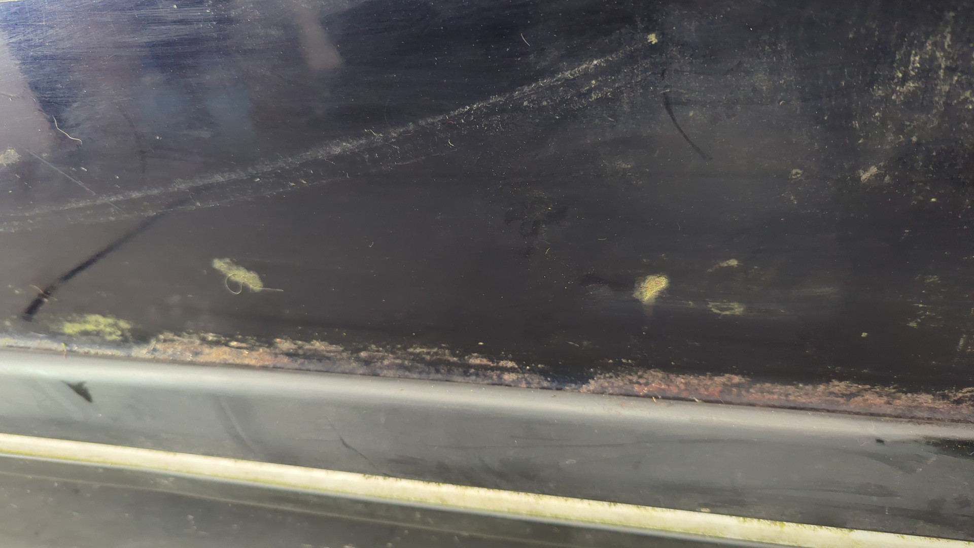 Дверь передняя правая