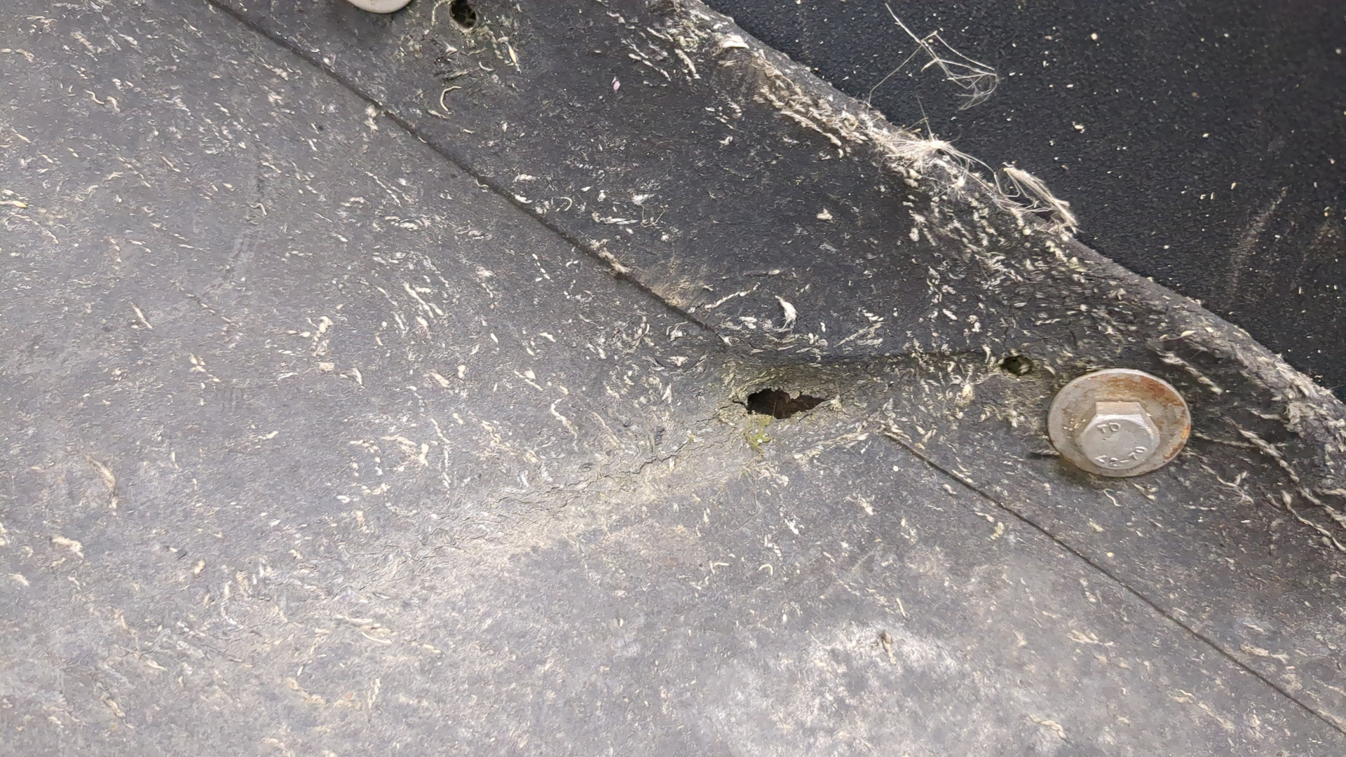 Крыло заднее правое