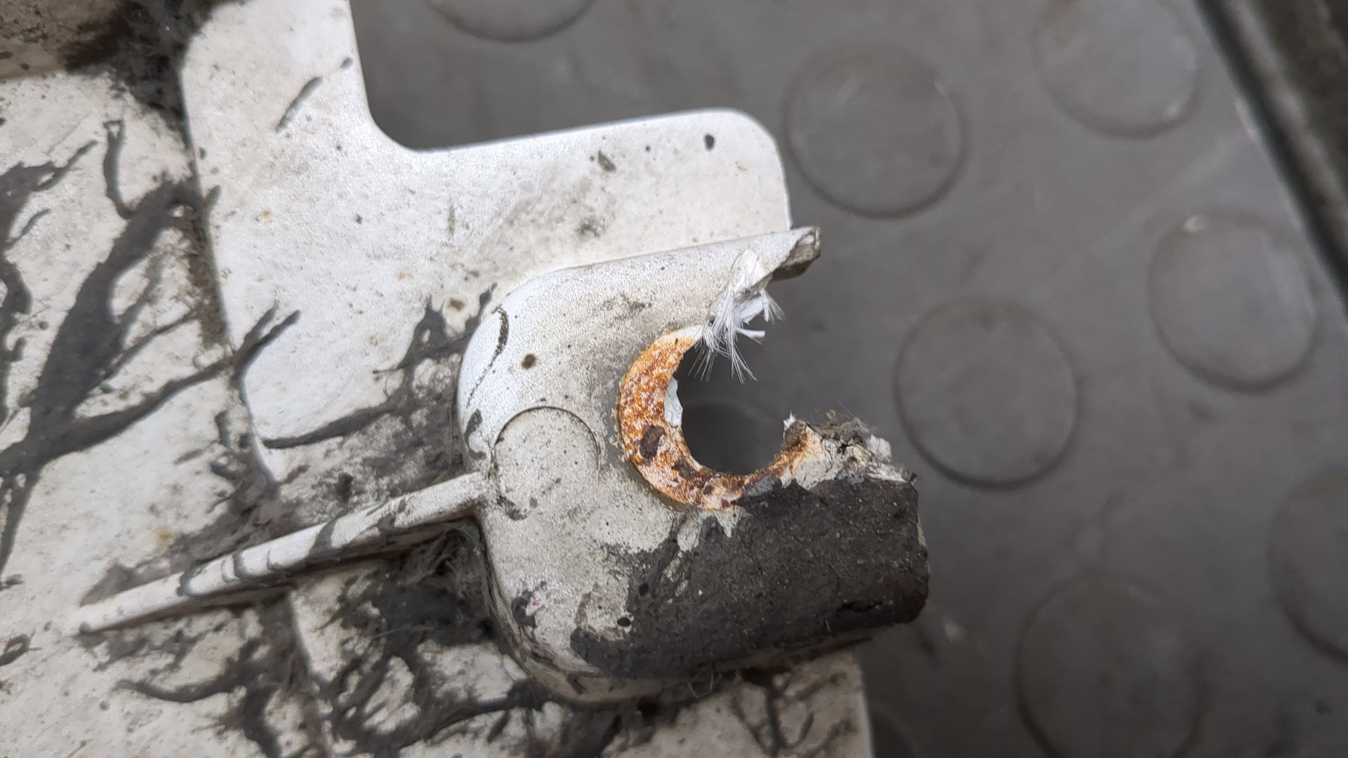 Крыло заднее левое