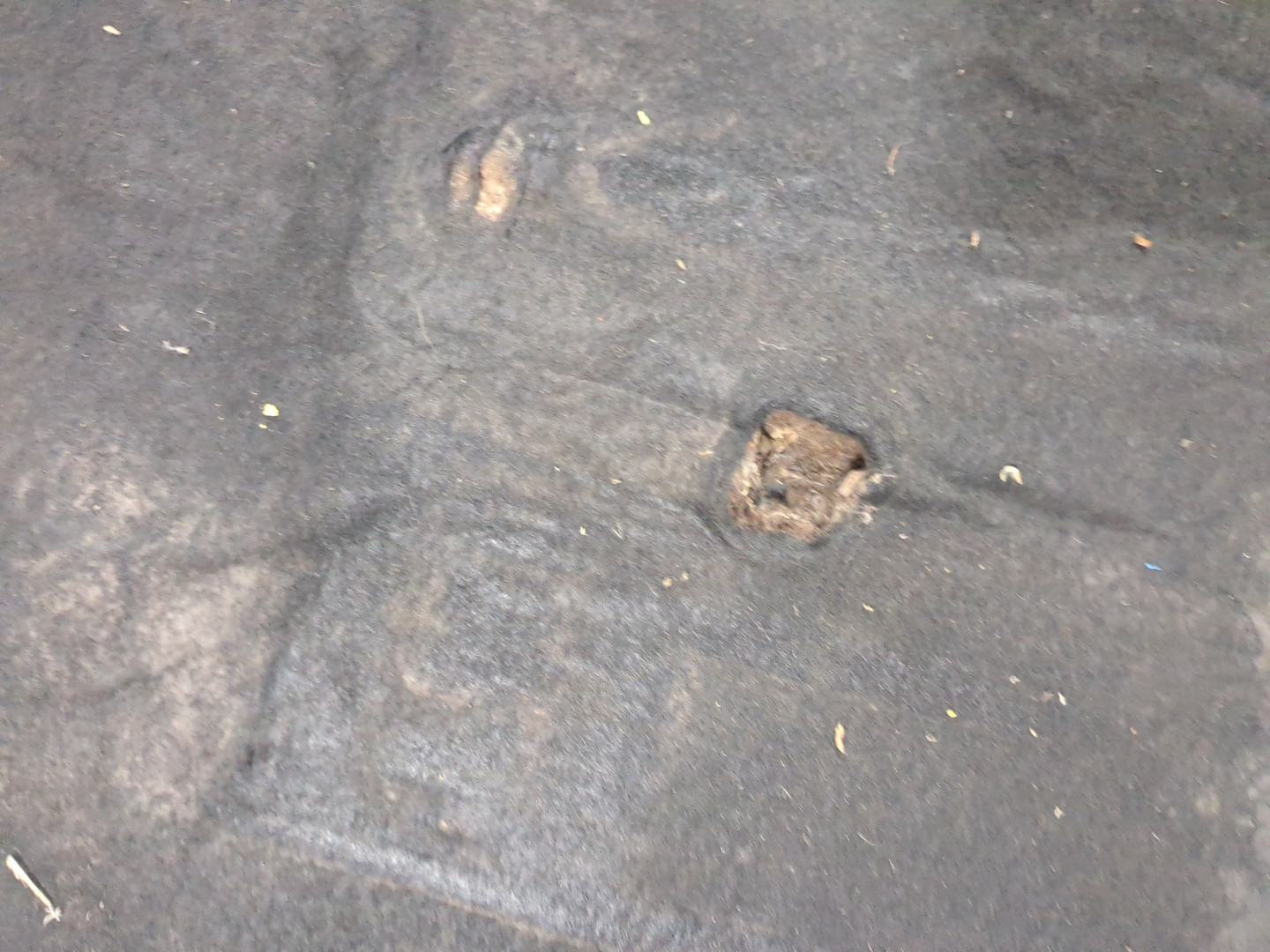 Шумоизоляция капота