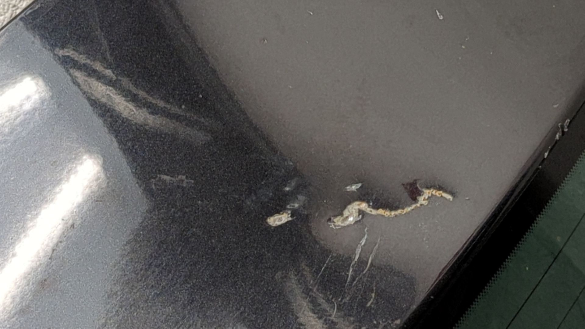 Дверь багажника