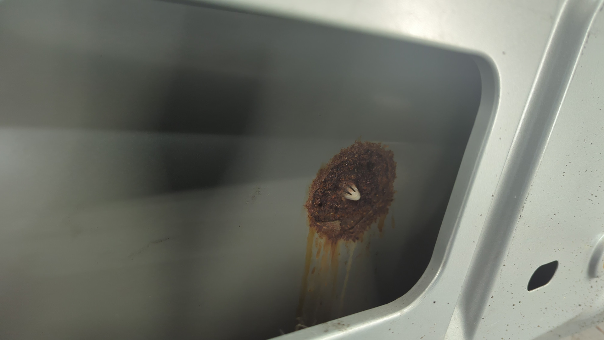 Дверь багажника