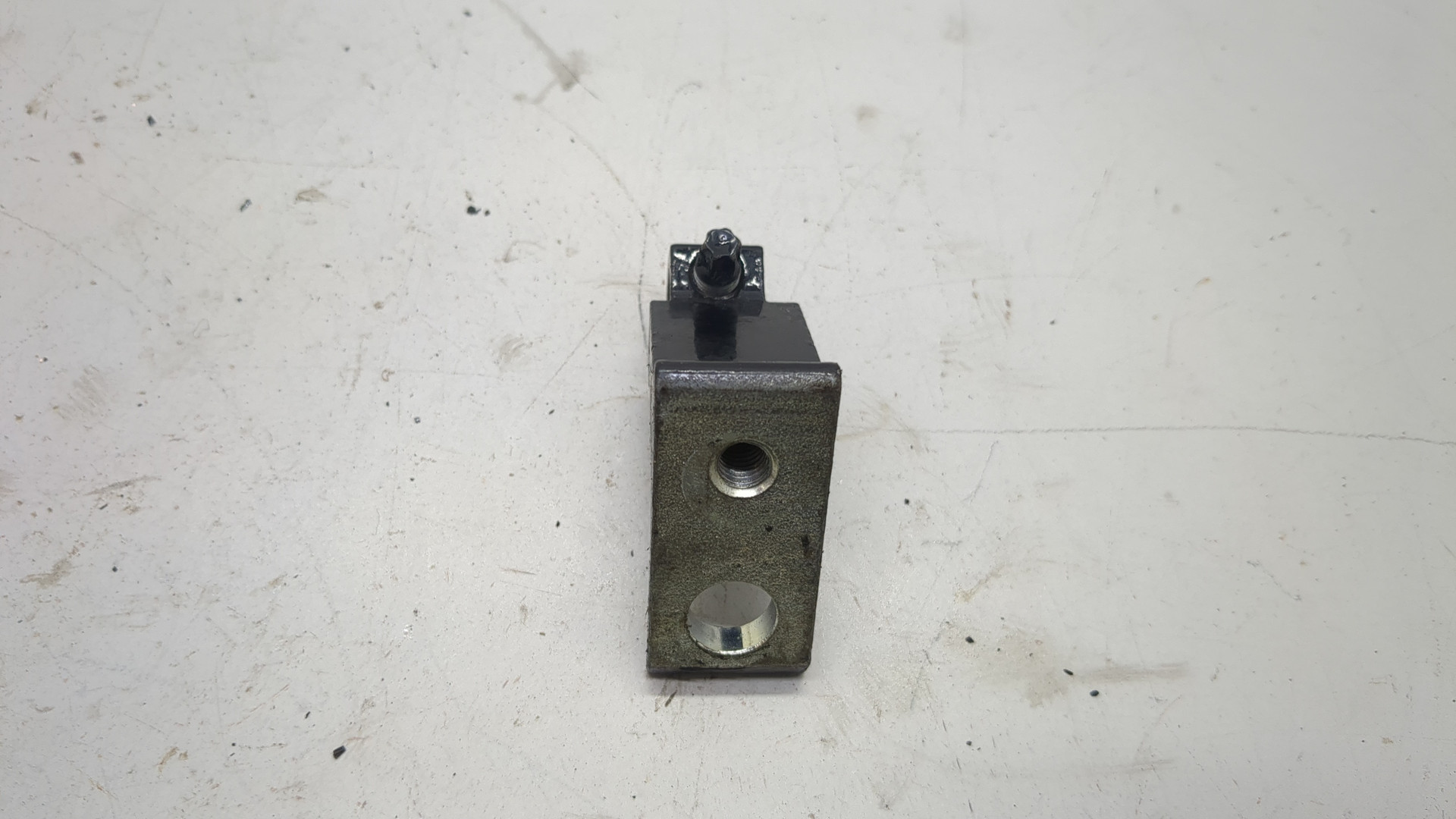 Петля двери задней