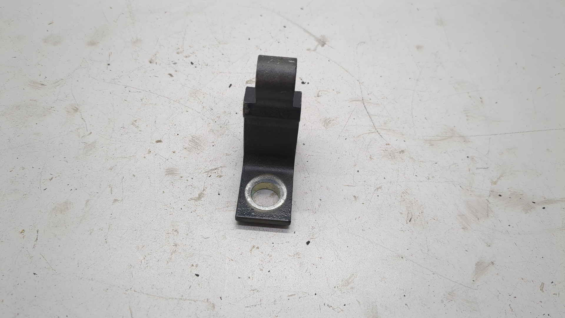 Петля двери задней