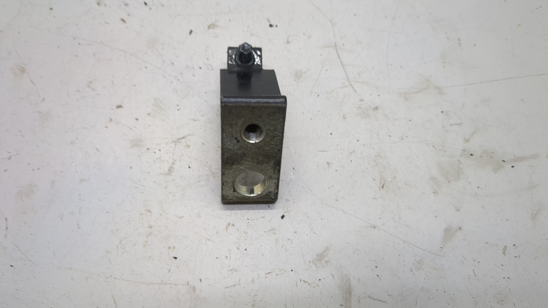 Петля двери задней