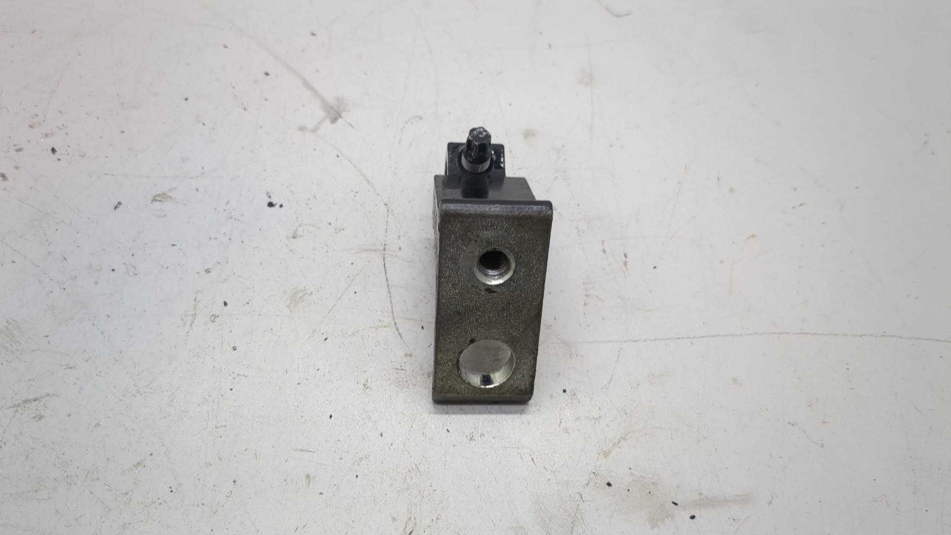 Петля двери задней