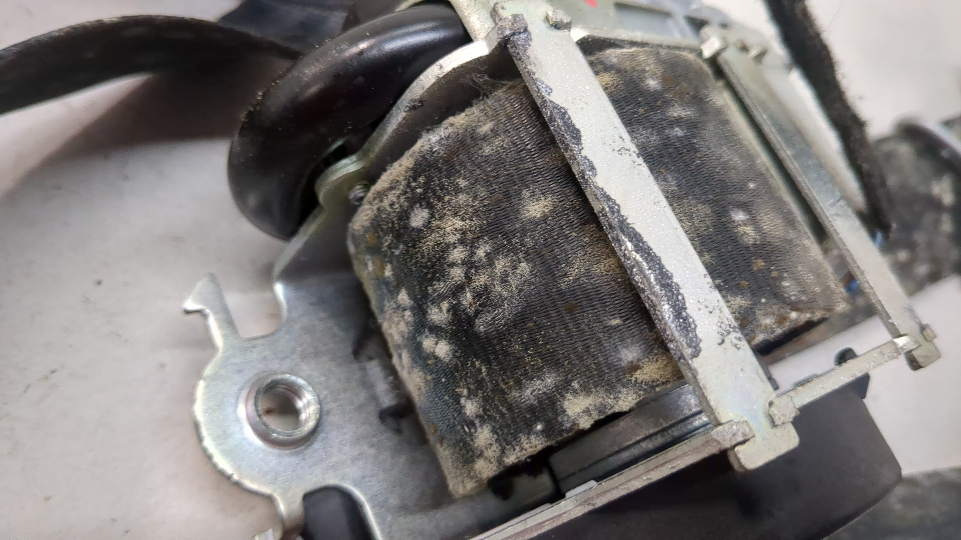 Ремень безопасности