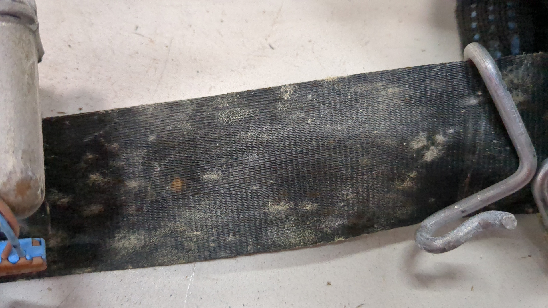 Ремень безопасности