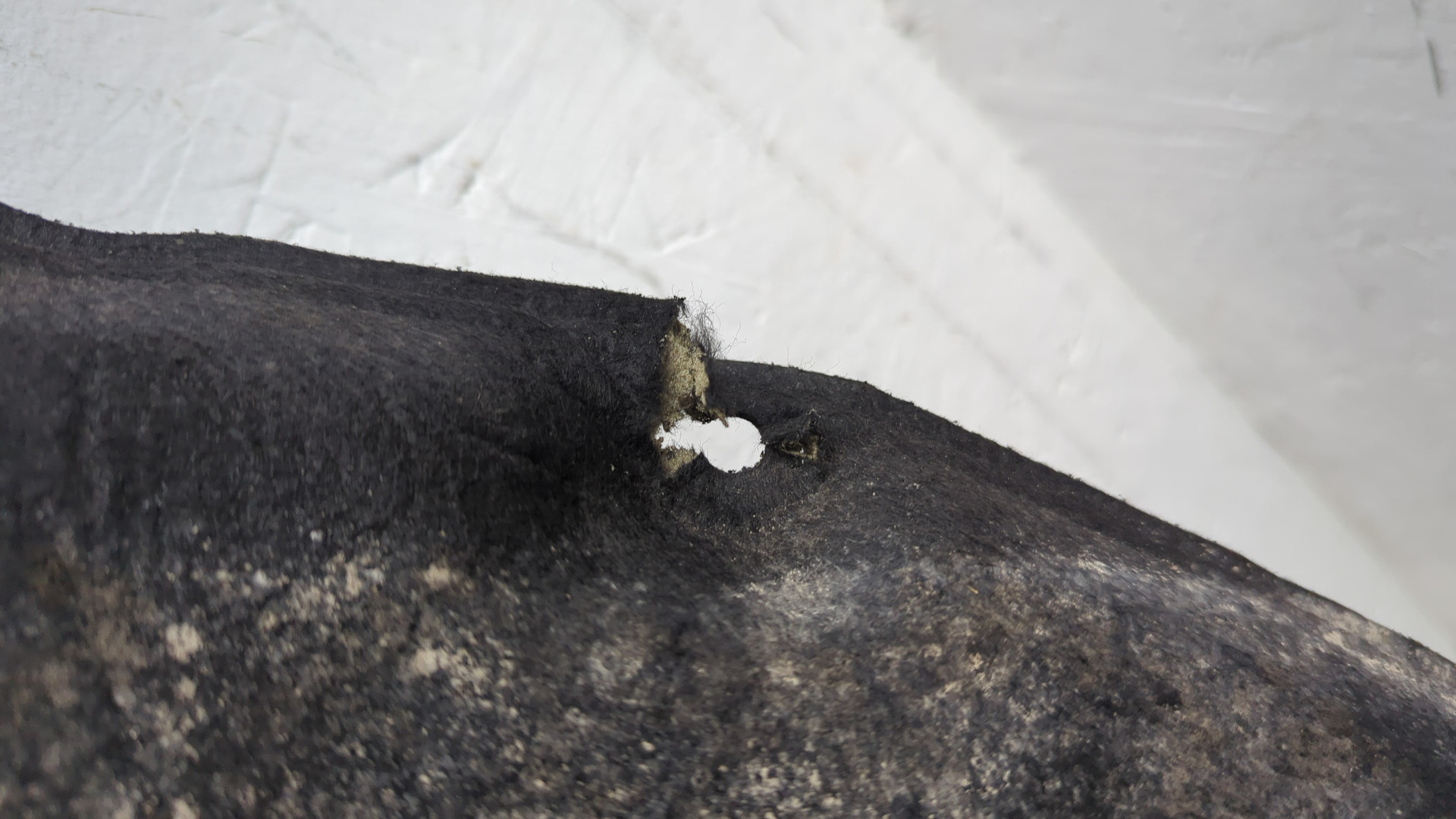 Шумоизоляция капота