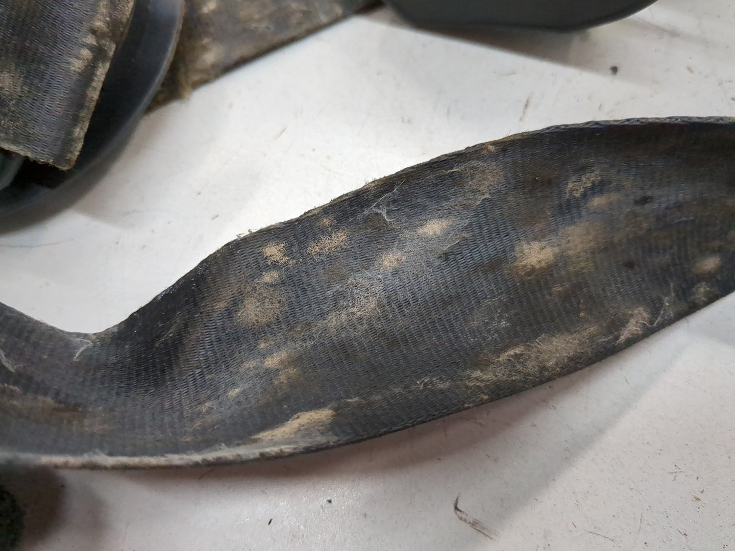 Ремень безопасности