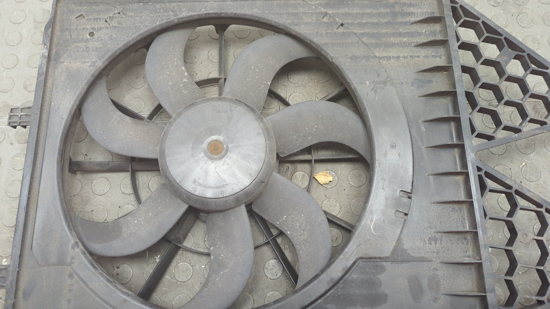 Вентилятор радиатора