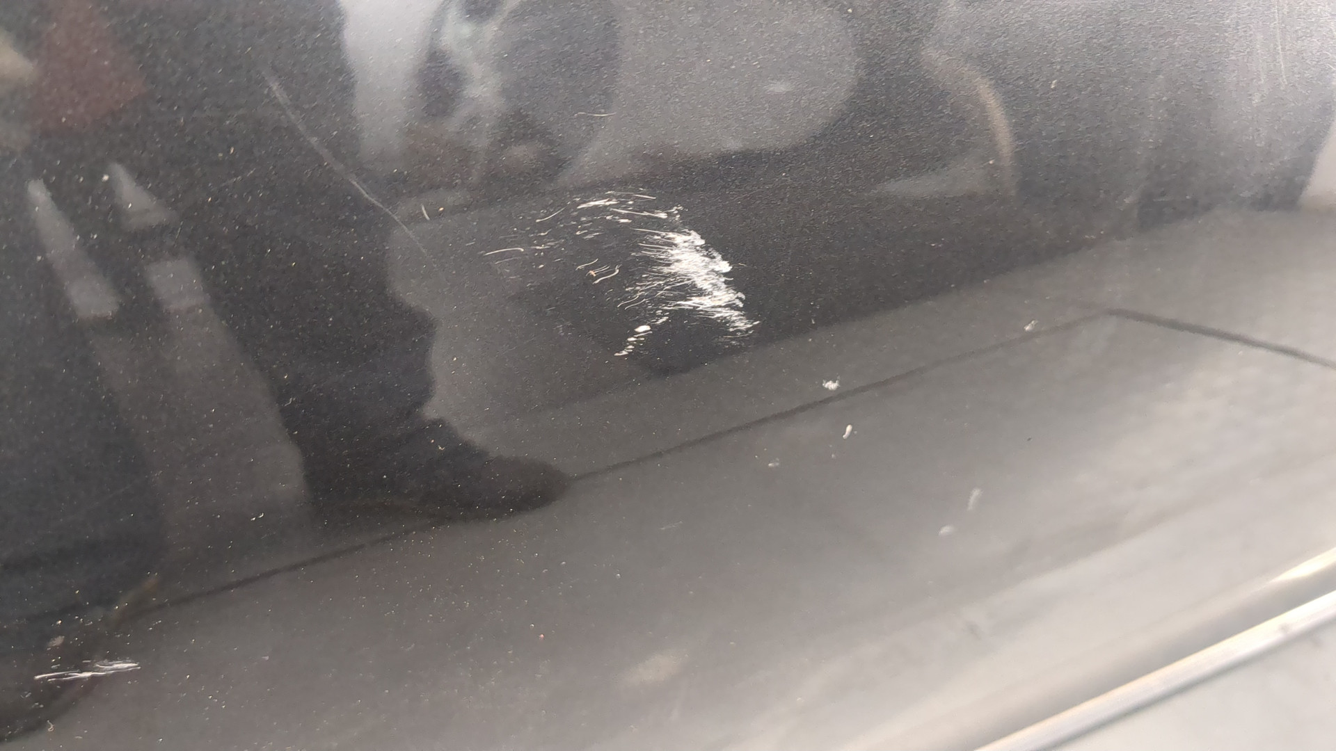 Дверь передняя левая