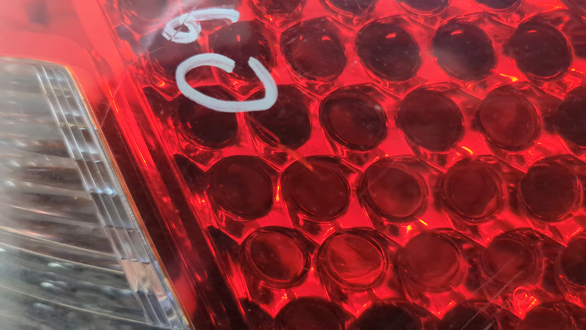 Фонарь задний левый