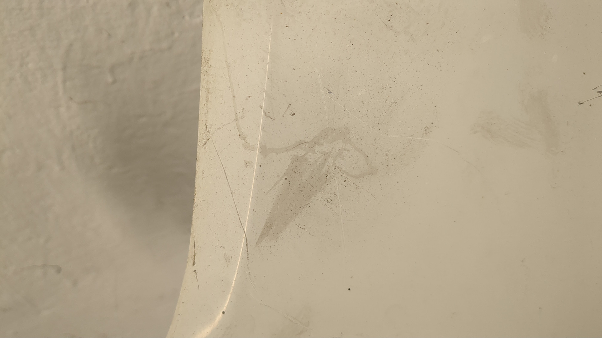 Крыло переднее правое