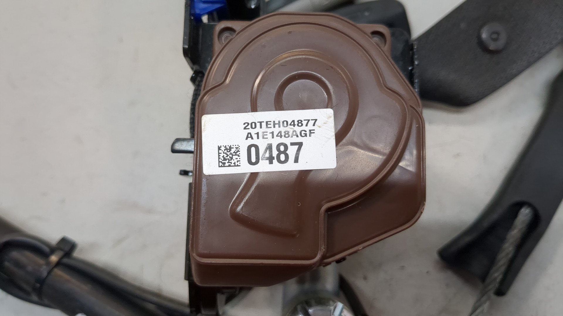 Ремень безопасности