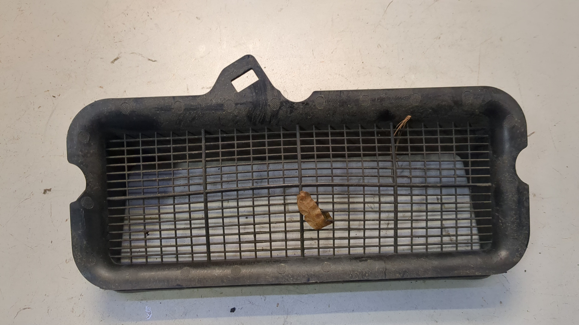 Воздухозаборник (внутри)