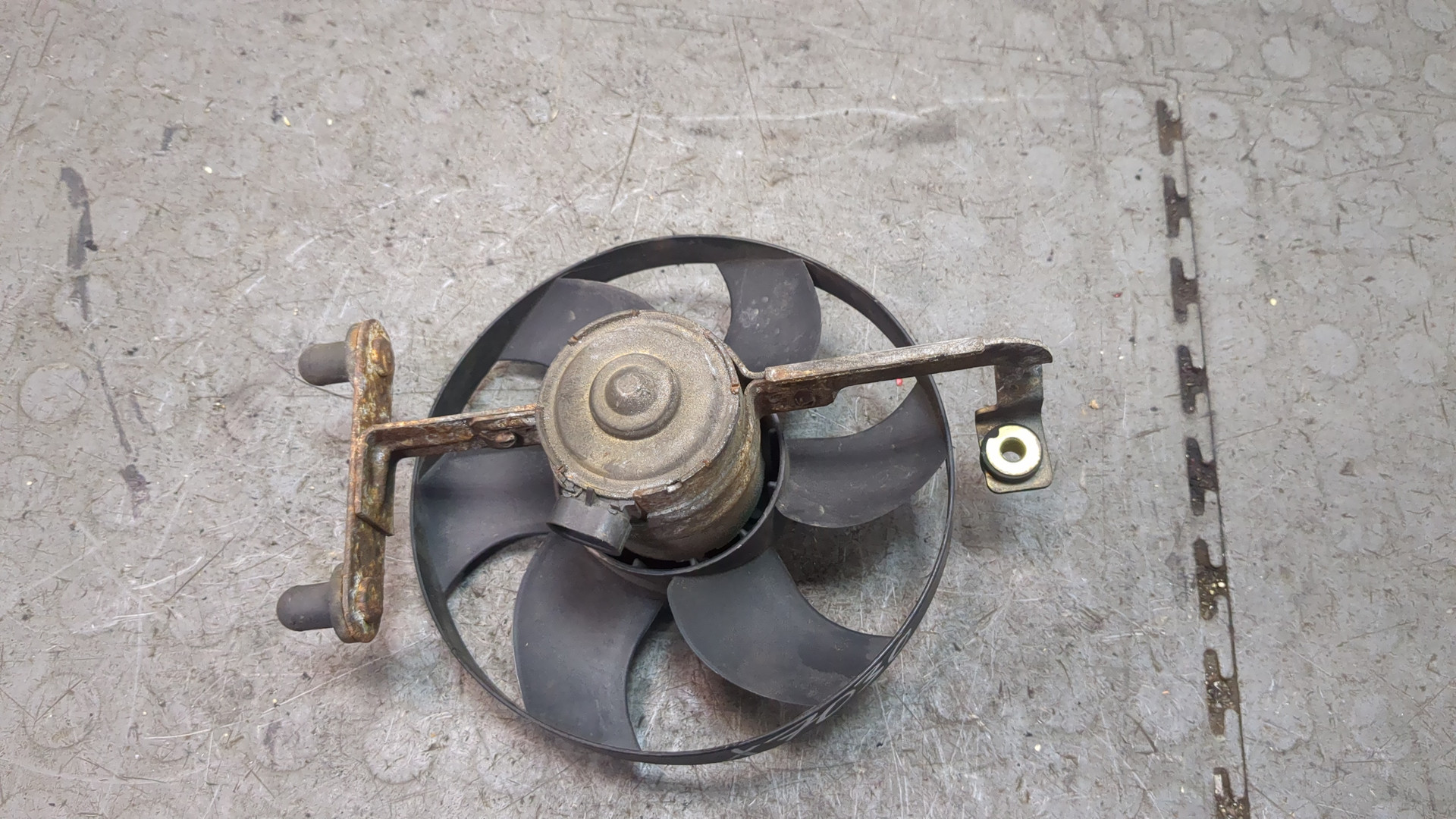 Вентилятор радиатора