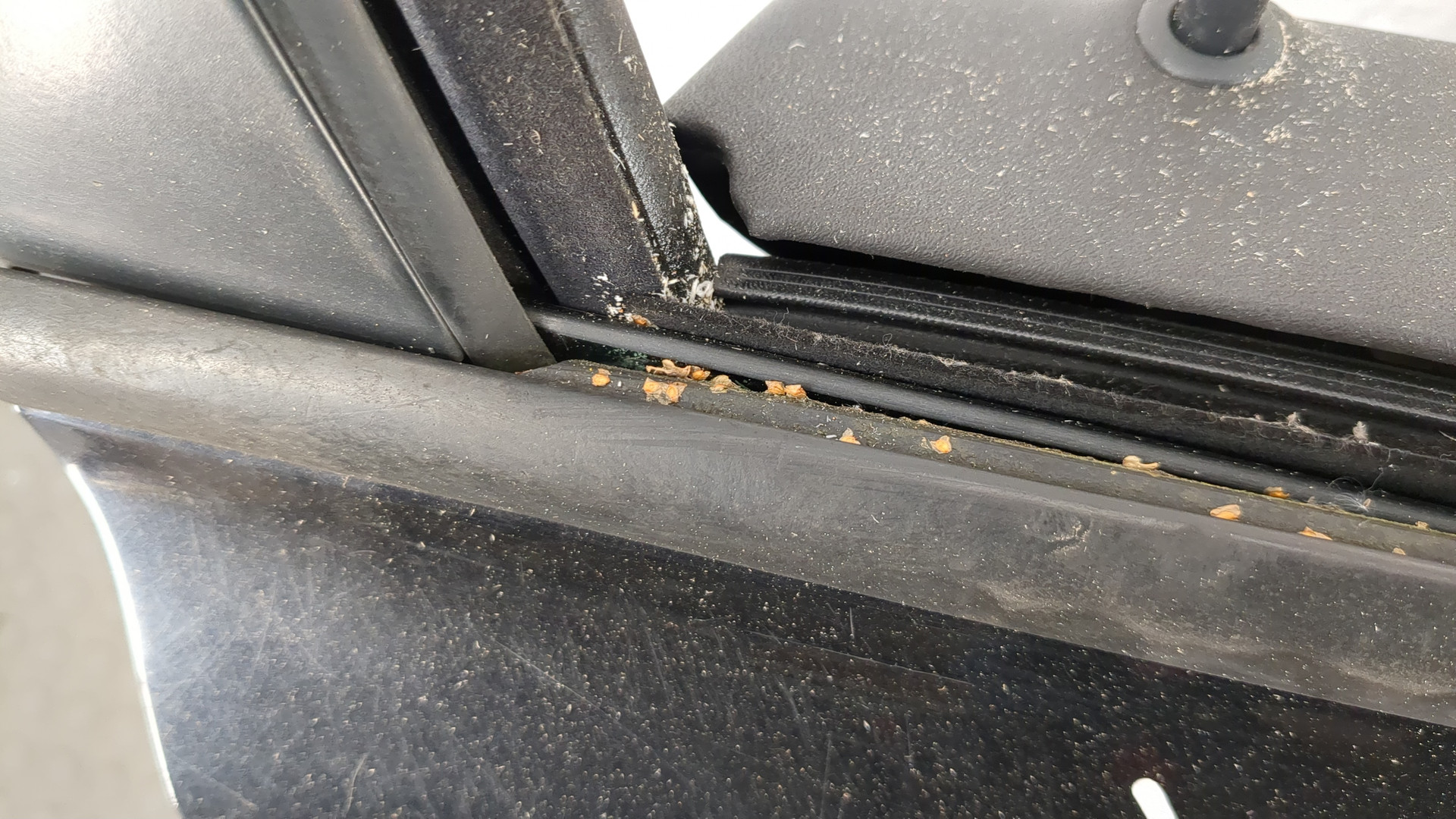 Дверь передняя правая