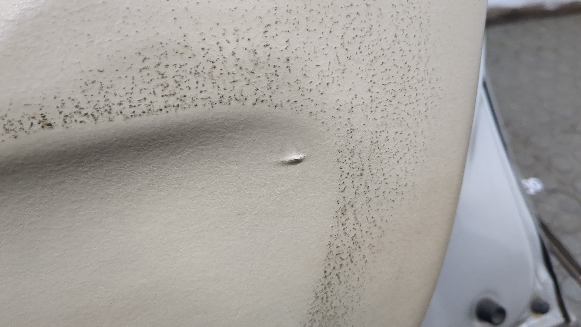 Дверь передняя правая