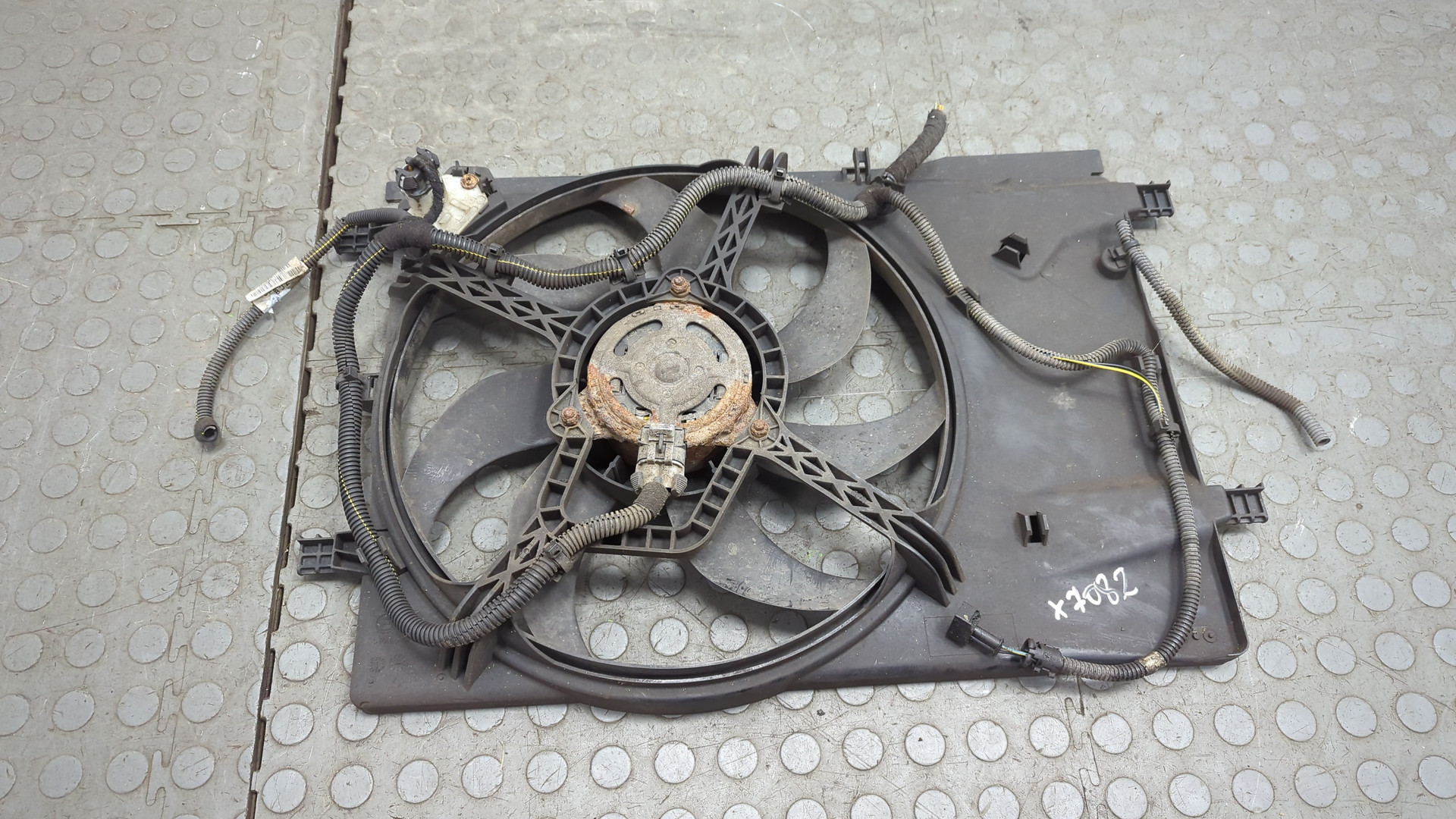 Вентилятор радиатора