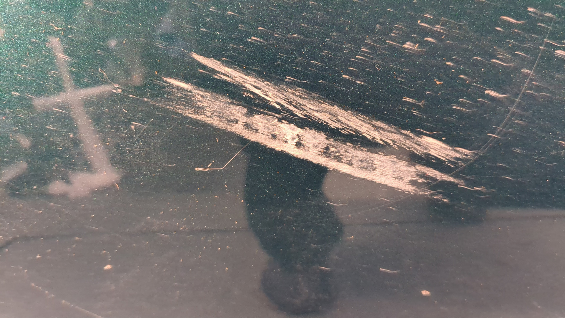 Дверь передняя левая